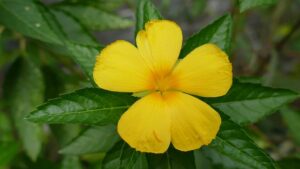 G05324295bc14ea81b1836b266d4d32e277e2dc47f53e70b89a124f463610258f038f8cbe08f761eb3ea060662ada7fc493c4de070d0886367707c237ffad6f3d 640